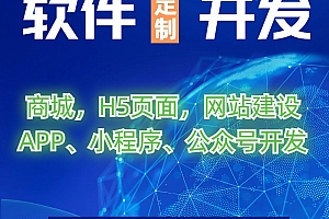 青岛市北区管理软件开发服务优选，匠心打造高效解决方案