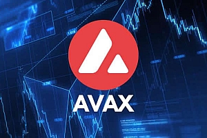 Avalanche子网开发实战：AVAX币购买及雪崩协议技术详解