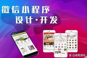 源码站主题揭秘：哪些人买源码，如何避免踩坑